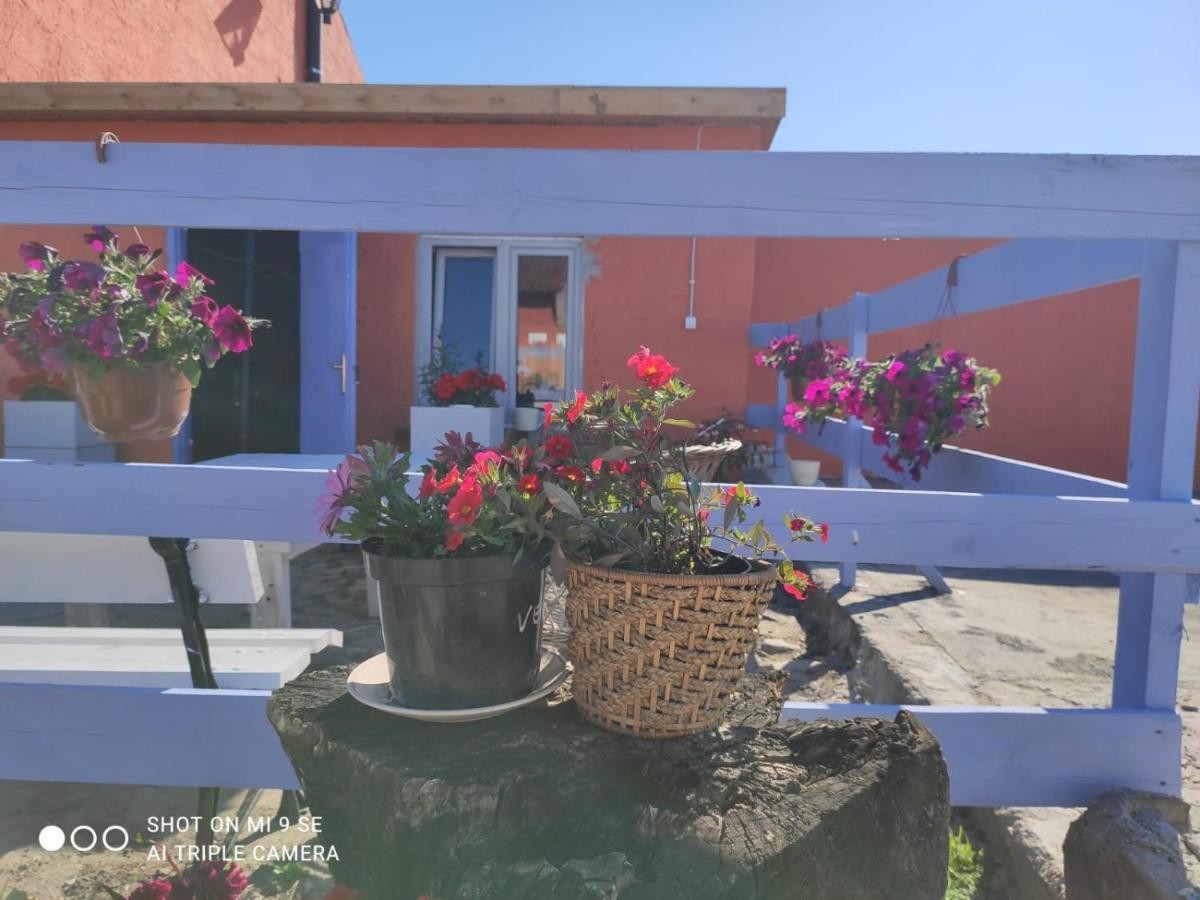 Villa Folwark Malinowy Chrusniak Bisztynek Exterior foto